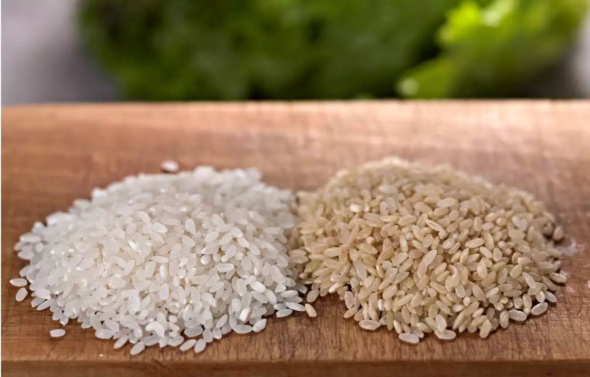 Πτώση της παγκόσμιας παραγωγής ρυζιού κατά 10% λόγω έλλειψης ρωσικών λιπασμάτων – Επισιτιστική κρίση «προ των πυλών»