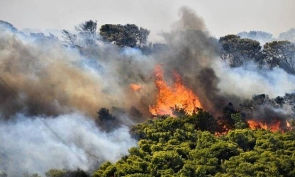 Φωτιά σε δασική έκταση στο Λεόντιο Νεμέας – Επιχειρούν 31 πυροσβέστες & 12 οχήματα