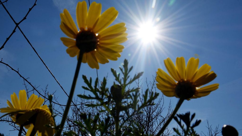 Αίθριος ο καιρός σήμερα: Ανεβαίνει η θερμοκρασία – Η πρόγνωση της ΕΜΥ