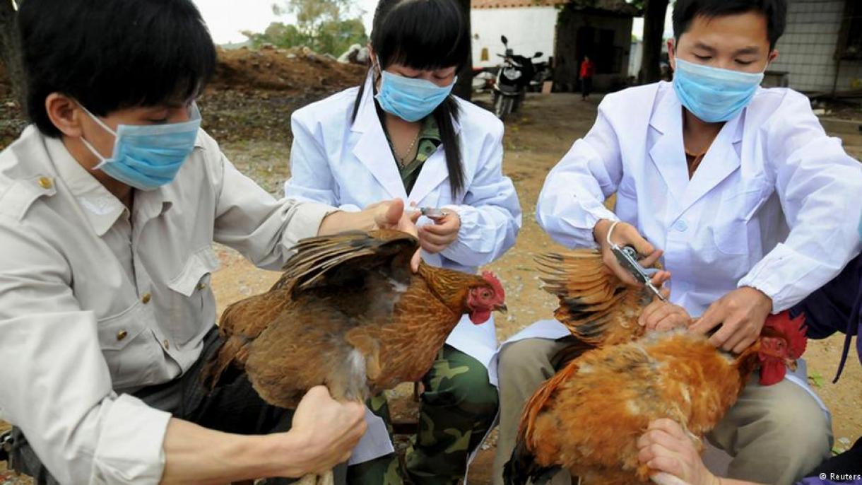 Συναγερμός στην Κίνα: Καταγράφηκε το πρώτο κρούσμα γρίπης των πτηνών H3N8 σε άνθρωπο