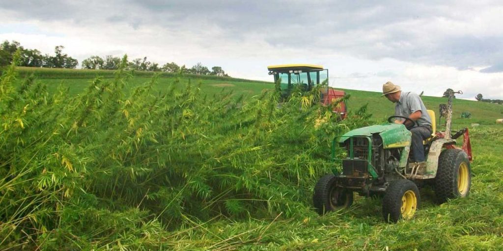 Bloomberg: Η ιστορική κρίση λιπασμάτων απειλεί την επισιτιστική ασφάλεια