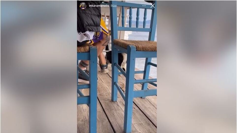 Βίντεο: Άνδρας δελεάζει με φαγητό γάτα και την κλωτσάει στη θάλασσα – Οργή στο Twitter