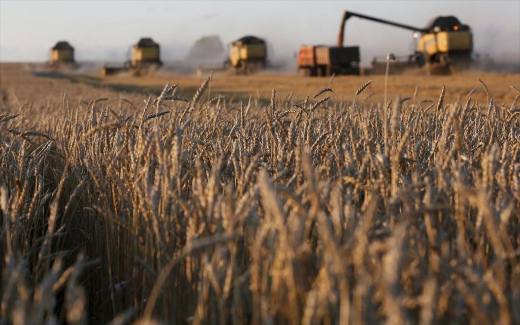 Για κίνδυνο λιμού μιλούν οι Ουκρανοί: Ισχυρίζονται ότι οι Ρώσοι κατάσχεσαν 400.000 τόνους σιτηρών