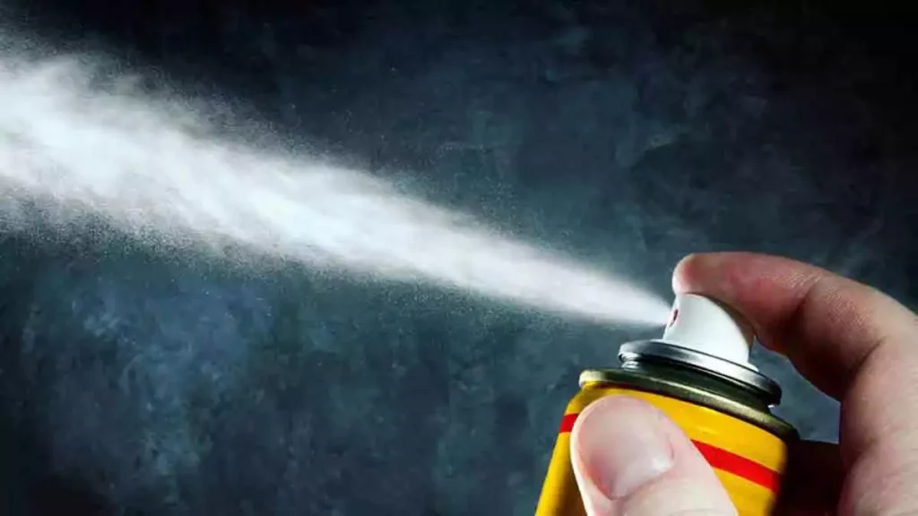 Εντομοκτόνα: Γενικές οδηγίες ασφάλειας στην χρήση τους – Τι να προσέχετε