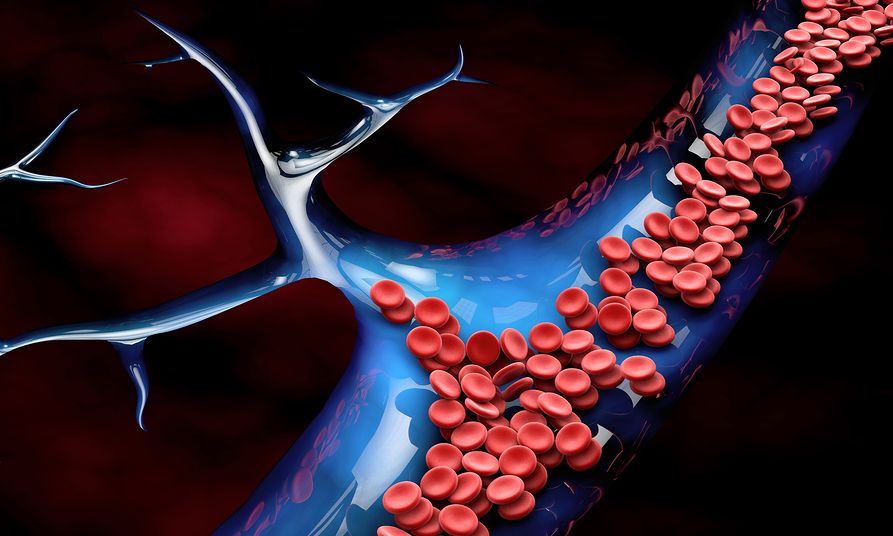Πρωτεΐνη, νιασίνη και ψευδάργυρος ενισχύουν την υγεία των αιμοφόρων αγγείων σύμφωνα με νέα μελέτη