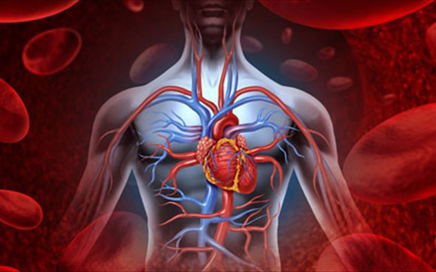 Παράξενα δεδομένα του σώματος που ίσως δε γνωρίζετε!