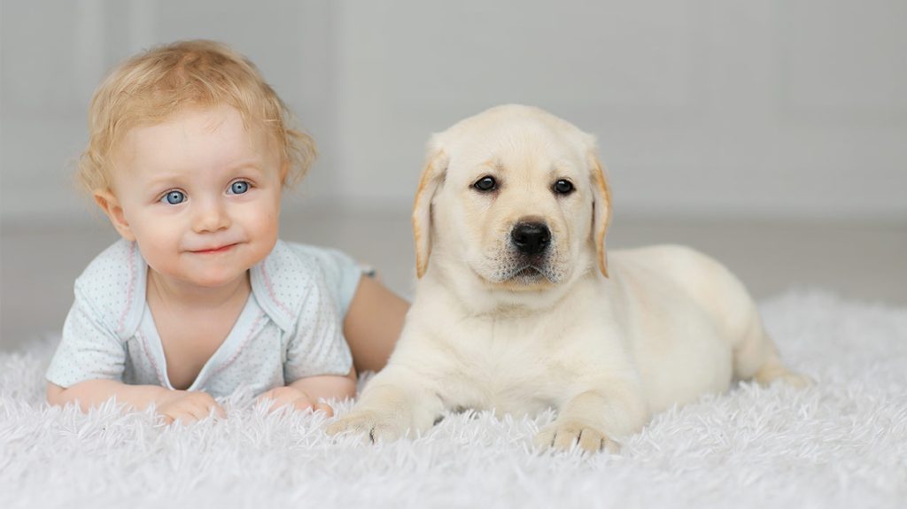 Παγκόσμιος συναγερμός για την ηπατίτιδα – Ερευνάται αν η αύξηση κρουσμάτων συνδέεται με τους σκύλους