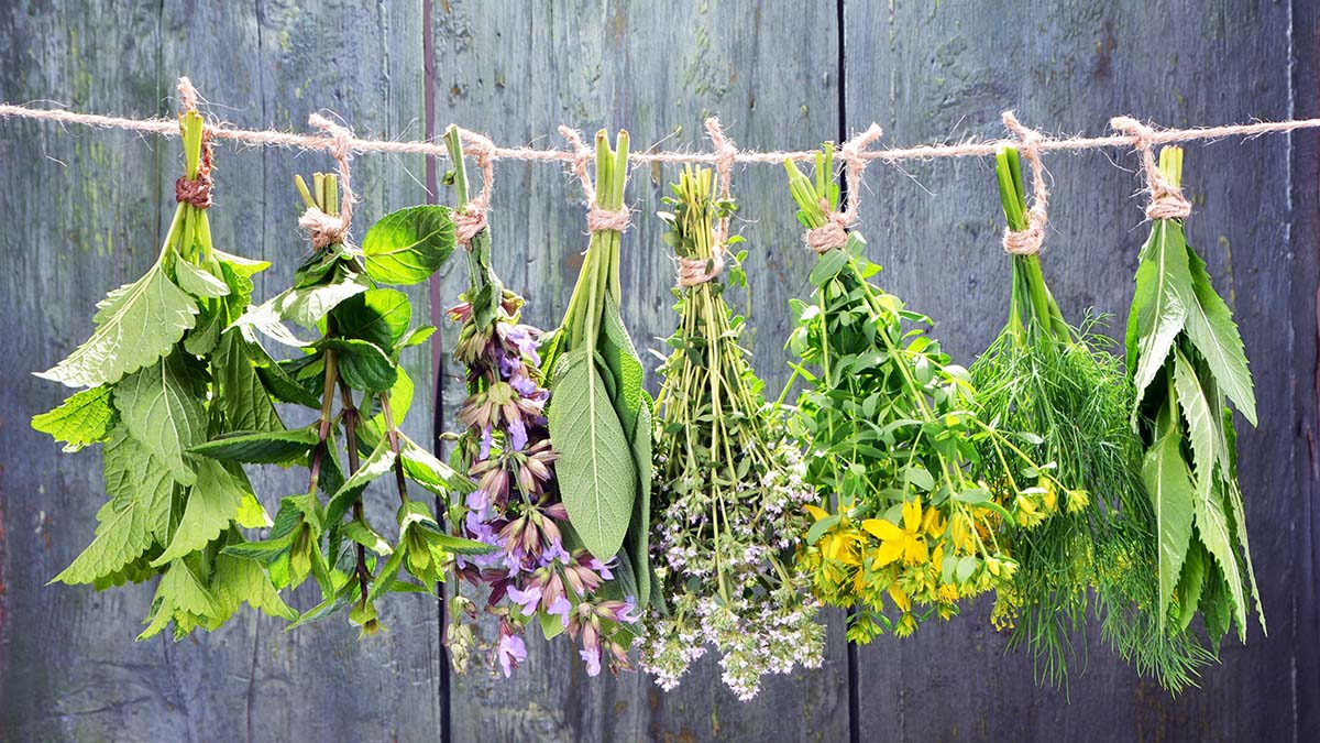 Έξι βότανα και μυρωδικά που θα σου βελτιώσουν τη ζωή