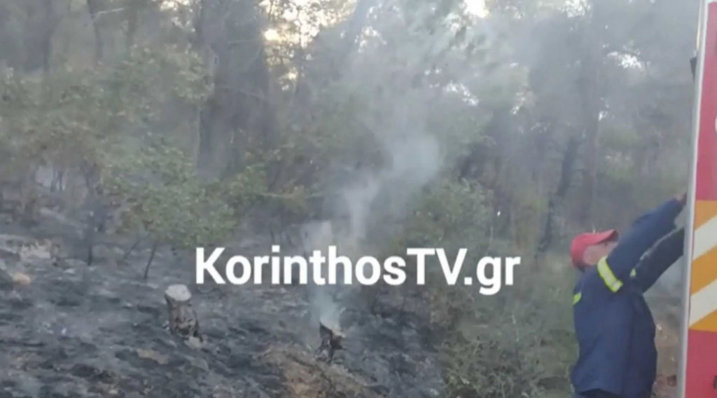 Συναγερμός στις Κεχριές – Καίγεται δάσος κοντά σε στρατόπεδο (βίντεο)