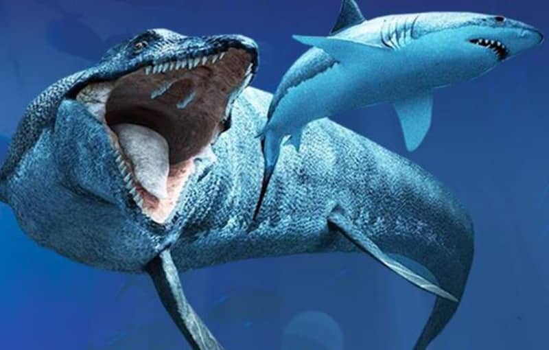 Ανακαλύφτηκε άψογο απολίθωμα θηλυκού ιχθυόσαυρου