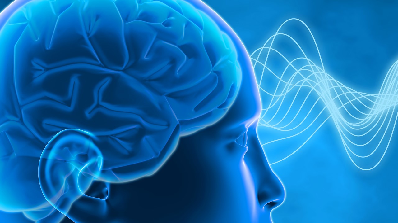 Εγκέφαλος: Πώς λειτουργεί – Ο μύθος του αριστερού έναντι του δεξιού ημισφαιρίου