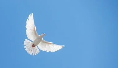 Πότε πέφτει το τριήμερο του Αγίου Πνεύματος – Για ποιους είναι αργία