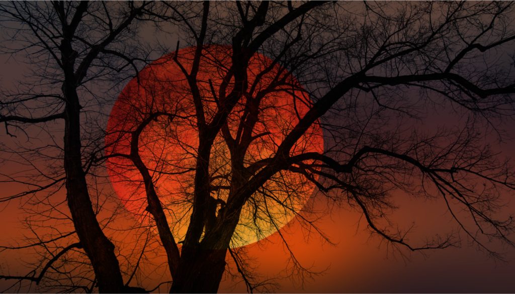 Ματωμένο φεγγάρι: Ποια ζώδια επηρεάζονται περισσότερο από την έκλειψη Σελήνης