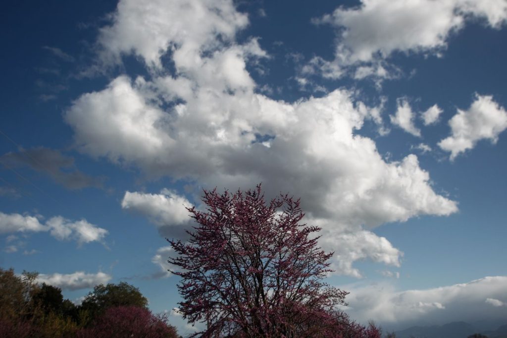 Αίθριος αύριο ο καιρός – Αναλυτικά η πρόγνωση της ΕΜΥ