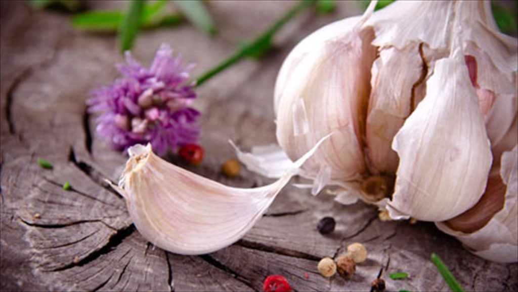 Σκόρδο: Tι ασθένειες θεραπεύει σε άδειο στομάχι;