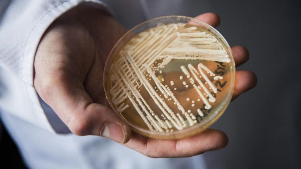 Ηράκλειο: Εντοπίστηκε και δεύτερο κρούσμα του ανθεκτικού μύκητα Candida Auris στο ΠΑΓΝΗ