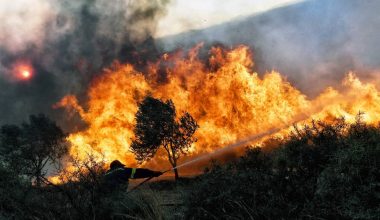 Το σχέδιο της Πολιτικής Προστασίας για τις φωτιές: «Ρίχνεται» και ο Στρατός στη μάχη – Πυροσβέστες από 6 χώρες