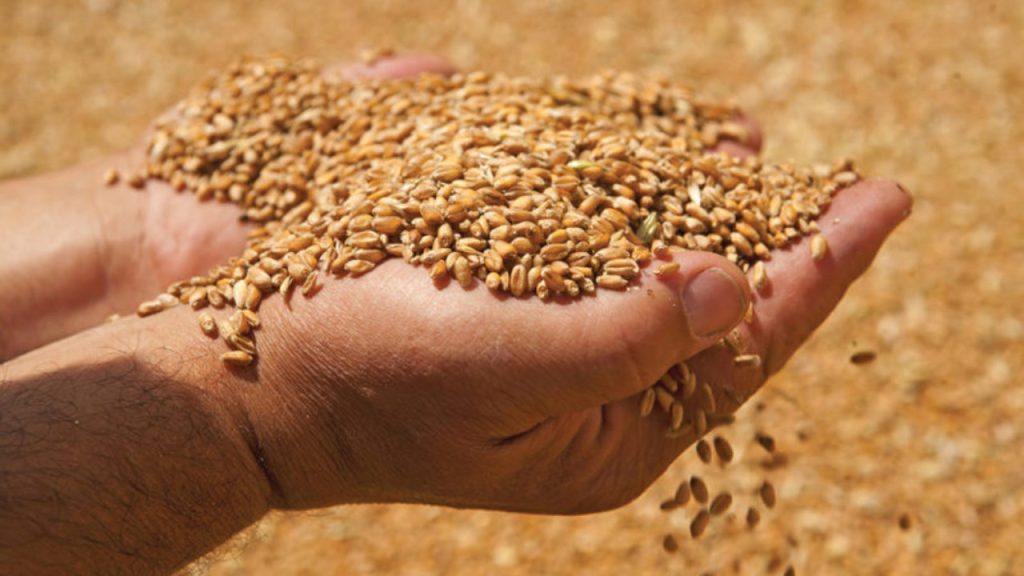 «Η Ελλάδα έχει σιτάρι μόνο για δύο μήνες» δηλώνει ο πρόεδρος των Ομοσπονδίας Αρτοποιών