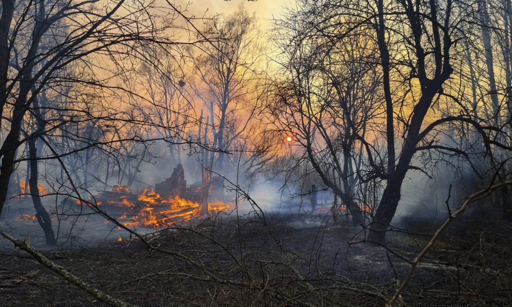 Τσέρνομπιλ: Ξέσπασε μεγάλη φωτιά σε δάσος κοντά στη ζώνη αποκλεισμού (βίντεο)