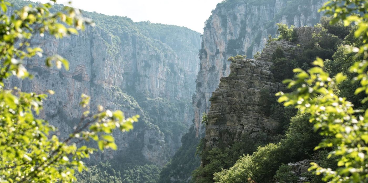 Χαλκιδική: Βρέθηκε νεκρός σε χαράδρα 81χρονος αγνοούμενος