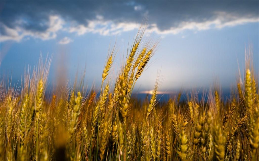 Τελειώνει το σιτάρι στην Δύση: Οι ΗΠΑ στέλνουν Harpoon σε Ουκρανία για να σπάσει τον ρωσικό ναυτικό αποκλεισμό