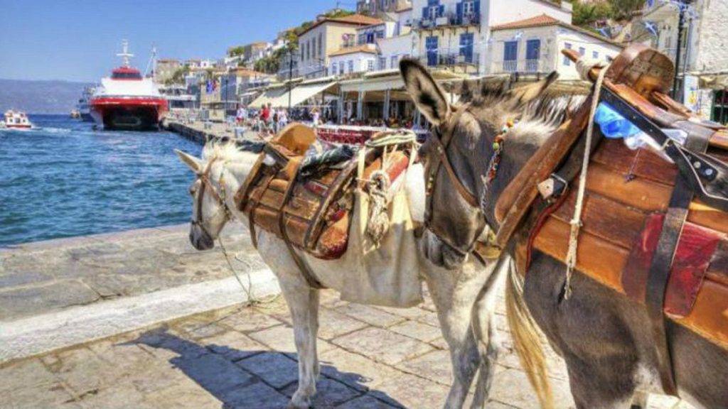 Εικόνα ντροπής στην Ύδρα: Έβαλαν γαϊδούρι να κουβαλήσει ολόκληρο ψυγείο