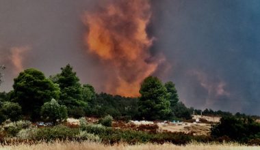 Εύβοια: Φωτιά από κεραυνό στα Ψαχνά