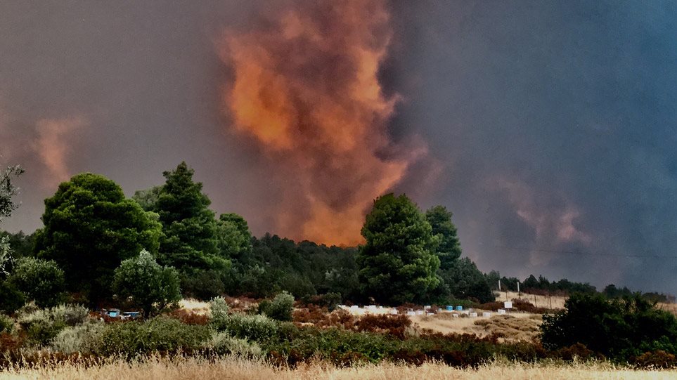 Εύβοια: Φωτιά από κεραυνό στα Ψαχνά