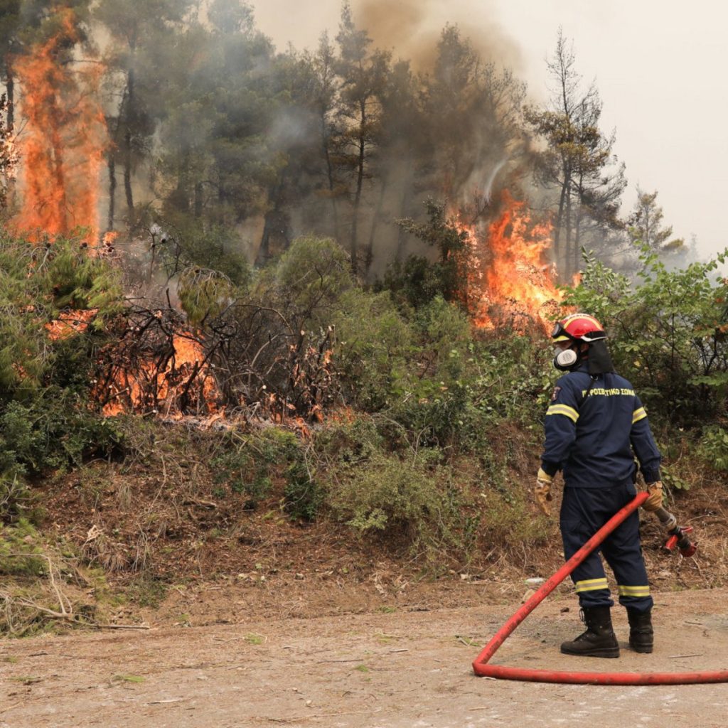Φωτιά σε δασική έκταση στο Αμόνι Κορινθίας