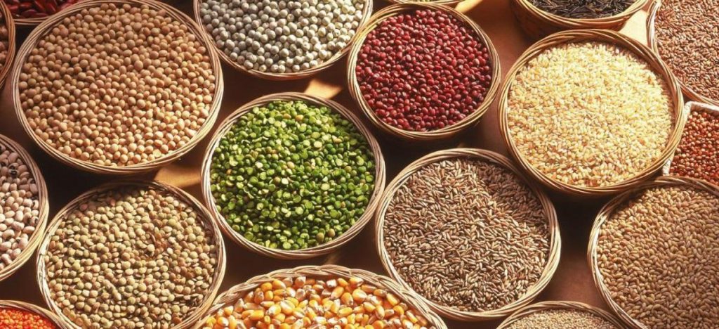 Έρχεται πείνα – Παγκόσμια Τράπεζα: «Οι δυτικές χώρες πρέπει να αυξήσουν την μελλοντική τους παραγωγή στα σιτηρά»