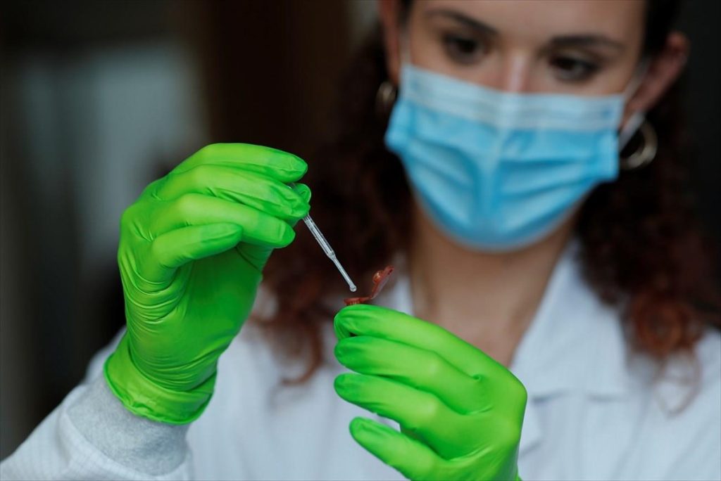 Η Αυστραλία ανακοίνωσε το πρώτο κρούσμα της ευλογιάς των πιθήκων