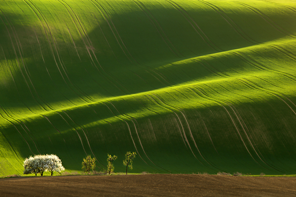 Εντυπωσιακές εικόνες από καταπράσινο… τσουνάμι στη φύση!