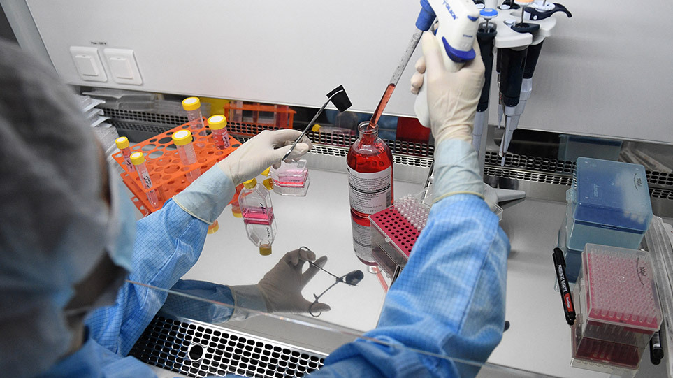 Ευλογιά των πιθήκων: Νέα κρούσματα σε Ολλανδία, Ισπανία και Πορτογαλία