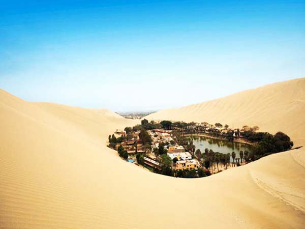 Εντυπωσιακές εικόνες: Ένα καταπράσινο «νησί» σε μια θάλασσα… άμμου!