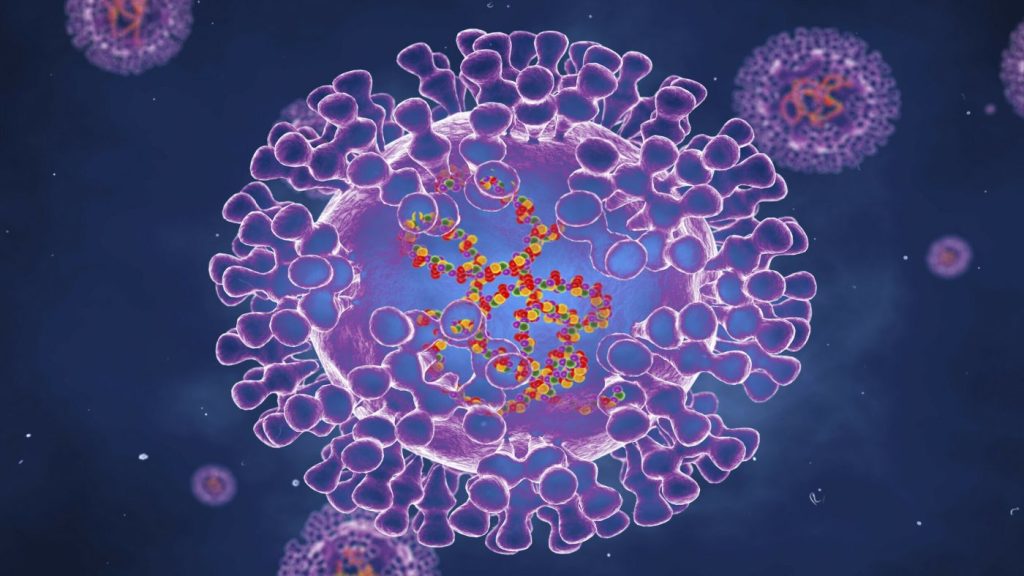 Ευλογιά των Πιθήκων: Μεταδίδεται όπως το AIDS και κτυπά αρχικά ομοφυλόφιλους – Άμεση ανάγκη για εμβόλιο