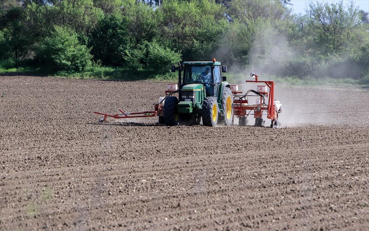 ΕΦΚΑ: Έτσι διαμορφώνονται από την 1η Ιουνίου οι εισφορές για τους αγρότες (πίνακας)