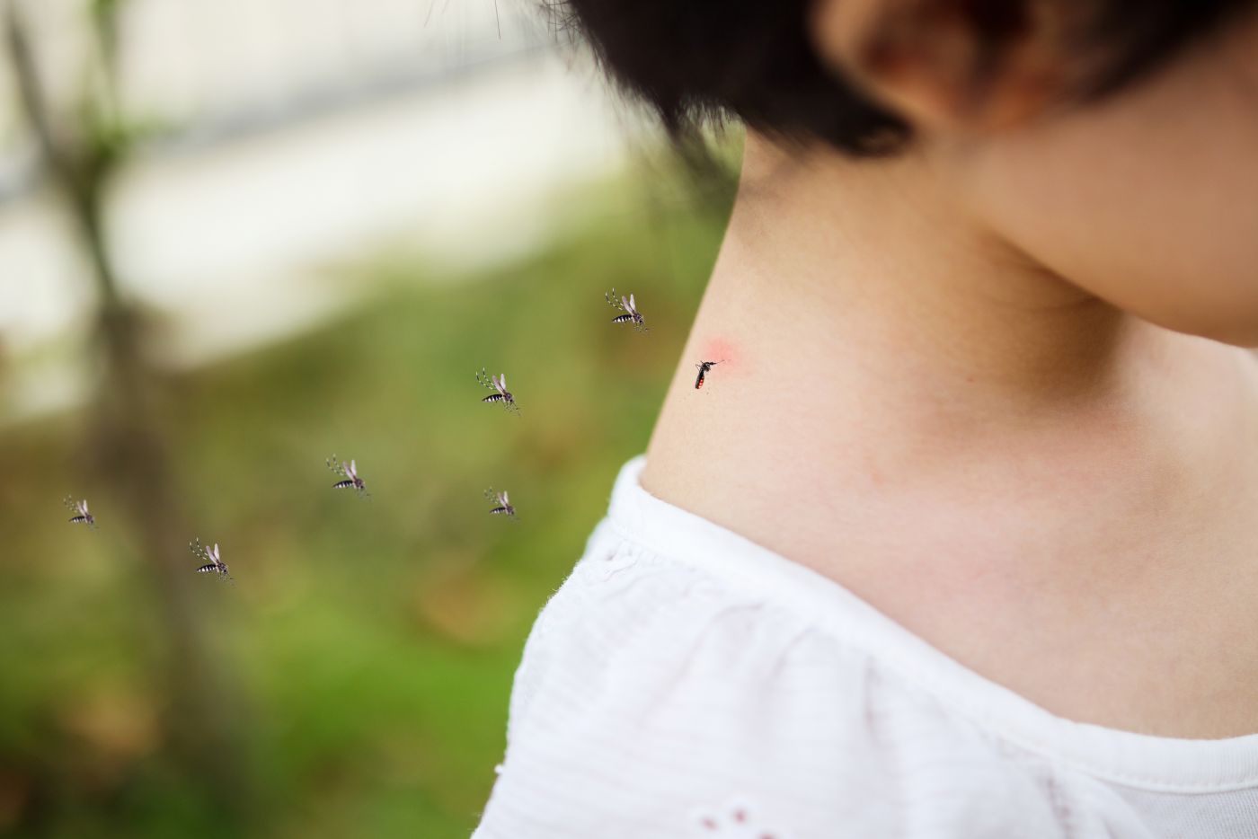 Σύνδρομο Skeeter: Τι ακριβώς είναι και ποιοι κινδυνεύουν περισσότερο το καλοκαίρι