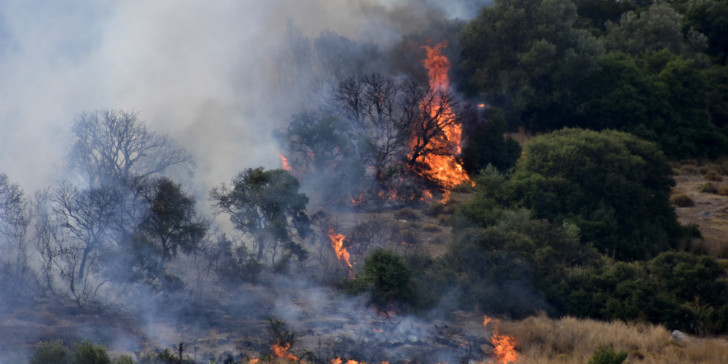 Δυο μεγάλες φωτιές στην Εύβοια – Ισχυρές δυνάμεις της Πυροσβστικής (φωτο)
