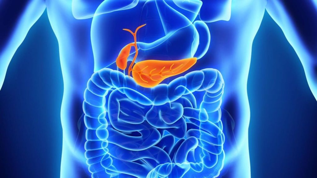 Προειδοποιητικό σημάδι για καρκίνο του παγκρέατος οι πέτρες στη χολή