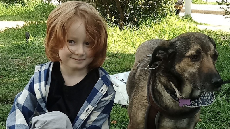 Αρπαγή 6χρονου στην Κηφισιά: Στο φως η «άγρια» κόντρα των γονιών για την επιμέλεια – Το βαν που χρησιμοποίησαν για την απαγωγή του (βίντεο)