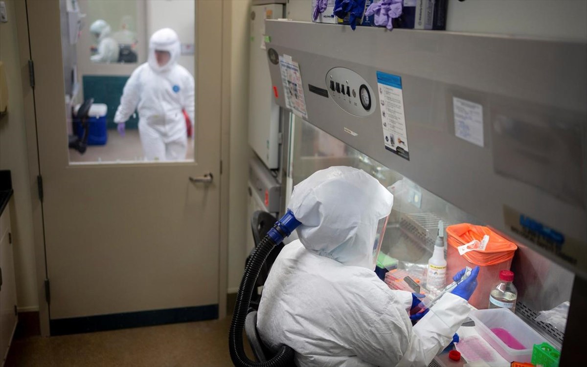 Ευλογιά των Πιθήκων: Δέκα νέα κρούσματα στην Πορτογαλία