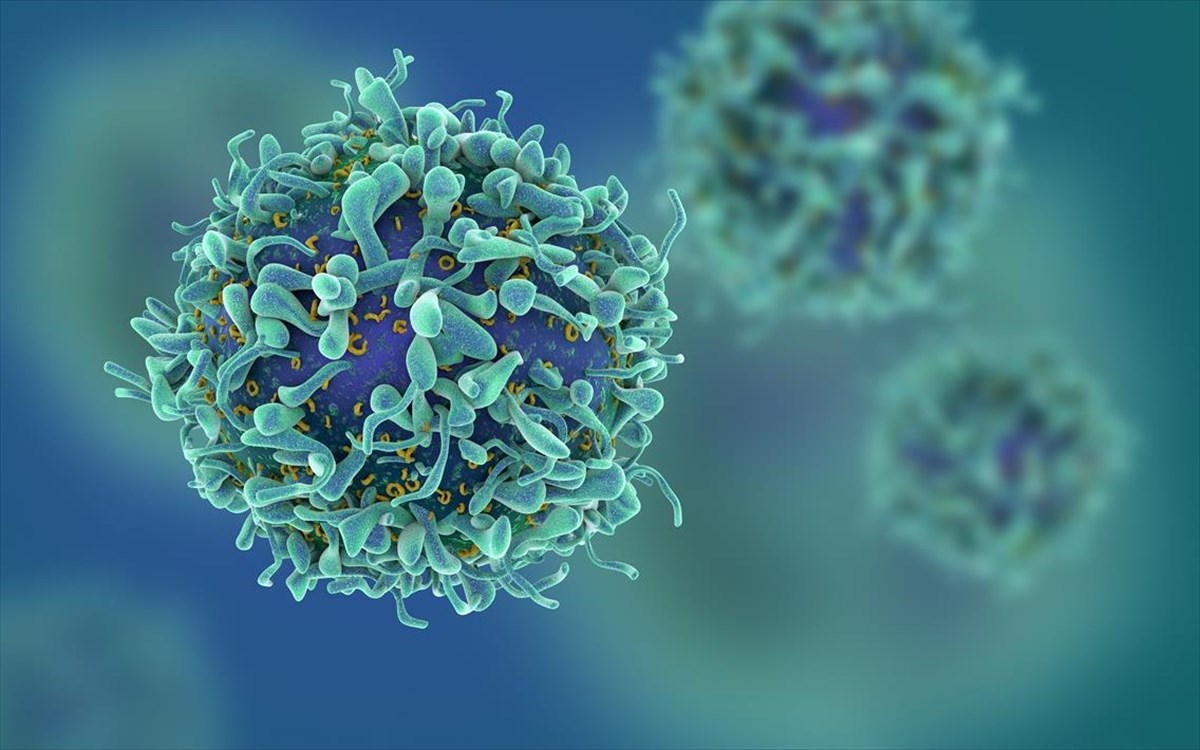 Έρχεται το «τέλος» του καρκίνου; – Επιστήμονες δοκίμασαν επαναστατικό ιό που συρρικνώνει κακοήθεις όγκους
