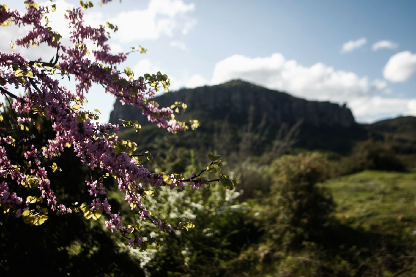 Καιρός: Ανεβαίνει κι άλλο ο υδράργυρος αύριο – Κυριαρχούν αφρικανική σκόνη και υγρασία