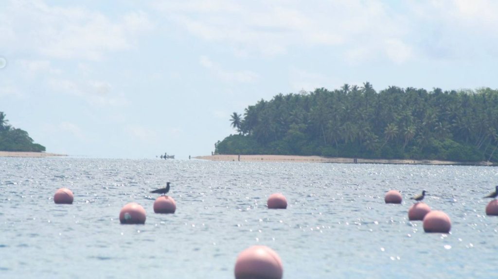Ειρηνικός: Το νησί της αχρωματοψίας –  Εκεί που βλέπουν μόνο άσπρο και μαύρο