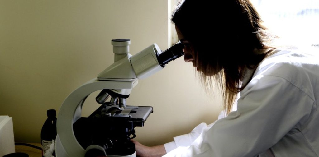 Καναδάς: Τα 26 έφτασαν τα κρούσματα της ευλογιάς των πιθήκων