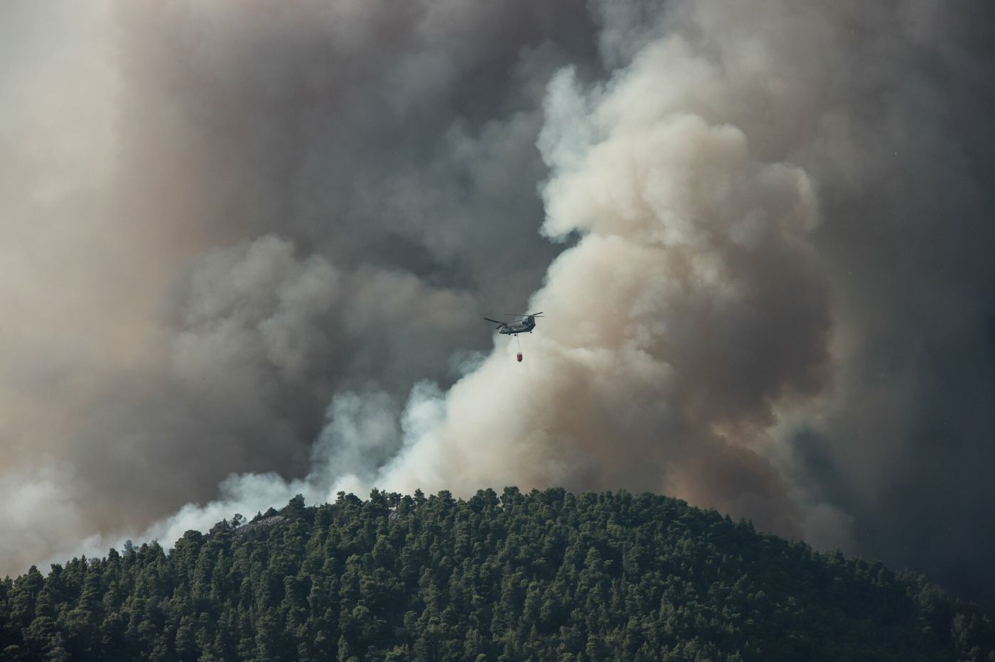 Φωτιά σε δασική έκταση στην Ερέτρια Ευβοίας