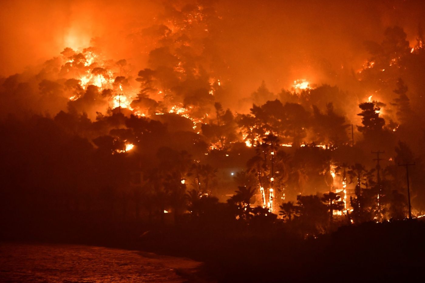 Νέα μελέτη: Ο καπνός από τις μεγάλες δασικές πυρκαγιές καταστρέφει το στρώμα του όζοντος στην ατμόσφαιρα