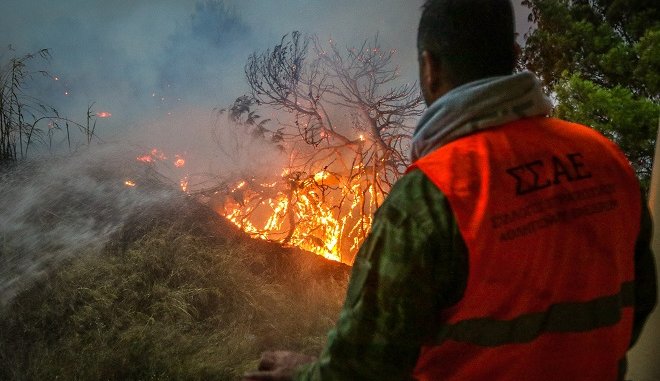 Τανάγρα: Ξέσπασε φωτιά σε γεωργικές εκτάσεις