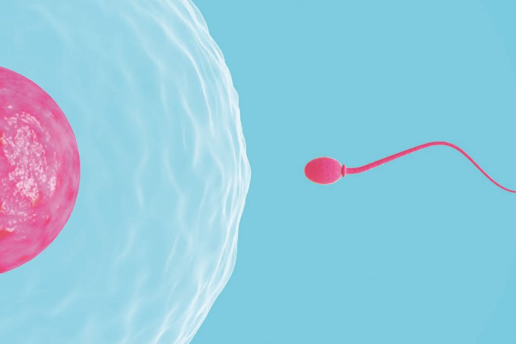 Αυτή είναι η ουσία που ενισχύει την ανδρική γονιμότητα – Πού θα τη βρείτε