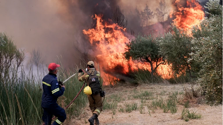 Φωτιά ξέσπασε στις Αλυκές του Βόλου